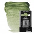 ACUARELA REMBRANDT 1/2 GODET TIERRA VERDE 629