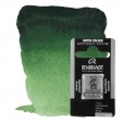 ACUARELA REMBRANDT 1/2 GODET VERDE HOOKER CLARO 644