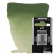 ACUARELA REMBRANDT 1/2 GODET VERDE OXIDO CROMO 681