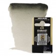 ACUARELA REMBRANDT 1/2 GODET GRIS DAVY 748