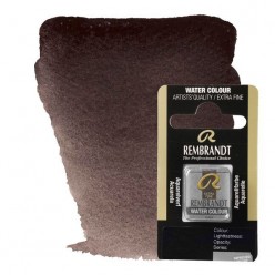 ACUARELA REMBRANDT 1/2 GODET GRIS DE SPINEL 749