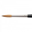 Winsor&Newton Series 7 Nº 6 Marta Kolinsky
