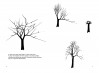 Dibujar un árbol, de Bruno Munari