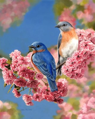Pintar con números Figured'Art Pareja de pájaros azules