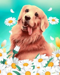 Pintar con números Figured'Art Golden Retriever