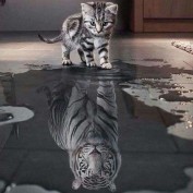 Pintar con números Figured'Art Gato con reflejo de tigre