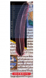 Pluma de ganso Herbin