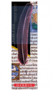 Pluma de ganso Herbin