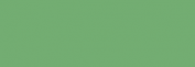 Pintura para tela Figuerola 250ml Verde Menta
