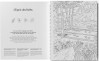 Libro Ilustraciones para colorear Esprit des Forets Caran d'Ache