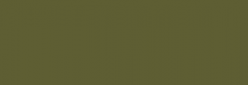 Tinte textil Marabu Easy Color 065 Oliva