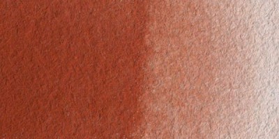 Acuarela Winsor&Newton Cotman Tubo 21ml - Tierra de Siena Tostada