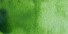 Acuarela Winsor&Newton Cotman Tubo 21ml - Verde Vejiga