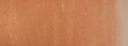 Acuarela Winsor&Newton Cotman Medio Godet - Bronce