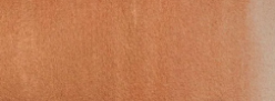 Acuarela Winsor&Newton Cotman Medio Godet - Bronce