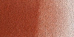 Acuarela Winsor&Newton Cotman Medio Godet - Tierra Siena Tostada