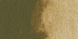 Acuarela Winsor&Newton Cotman Medio Godet - Tierra Sombra Natural
