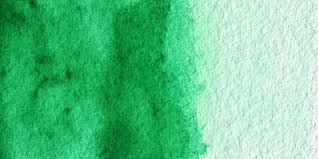 Acuarela Winsor&Newton Cotman Medio Godet - Esmeralda