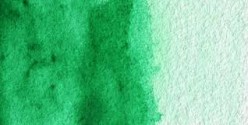 Acuarela Winsor&Newton Cotman Medio Godet - Esmeralda
