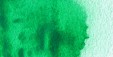 Acuarela Winsor&Newton Cotman Medio Godet - Verde Intenso