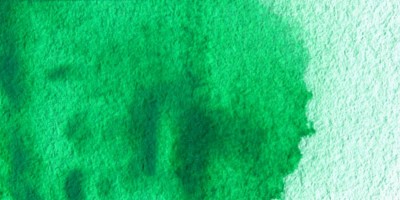 Acuarela Winsor&Newton Cotman Medio Godet - Verde Intenso
