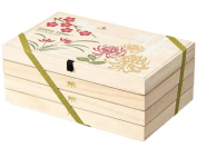 Gansai Caja de madera de acuarela con 100 godets gigantes