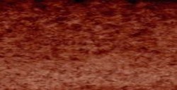 Tinta de dibujo Sennelier - Biestre