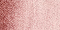 Acuarelas Maimeri Blu 12 ml - Rosa Potter