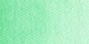 Acuarelas Maimeri Blu 12 ml - Verde Cúprico Claro