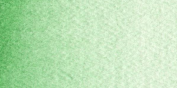 Acuarelas Maimeri Blu 12 ml - Verde Cobalto Oscuro