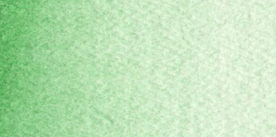 Acuarelas Maimeri Blu 12 ml - Verde Cobalto Oscuro