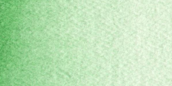 Acuarelas Maimeri Blu 12 ml - Verde Cobalto Oscuro