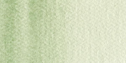 Acuarelas Maimeri Blu 12 ml - Tierra Verde