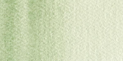 Acuarelas Maimeri Blu 12 ml - Tierra Verde