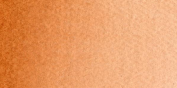 Acuarelas Maimeri Blu 12 ml - Tierra Siena Tostada