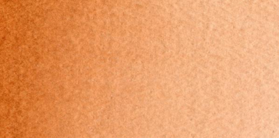 Acuarelas Maimeri Blu 12 ml - Tierra Siena Tostada