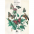 Libro de Arte para Colorear Natural History