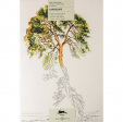 Libro de Arte para Colorear Landscape