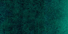 Acuarelas Maimeri Blu 12 ml - Verde Cúprico Oscuro