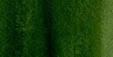 	Acuarelas Maimeri Blu 12 ml - Verde de Hooker