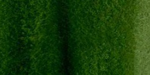 	Acuarelas Maimeri Blu 12 ml - Verde de Hooker