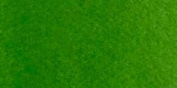 Acuarelas Maimeri Blu 12 ml - Verde Vejiga