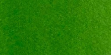 Acuarelas Maimeri Blu 12 ml - Verde Vejiga