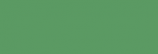 Sennelier Oil Pastels 5ml - Verde Vejiga Claro