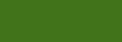 Pasteles Rembrandt - Verde Perm. Claro 4