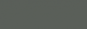 Pasteles Rembrandt - Gris Verdoso 2