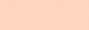 Lápices Pastel CarbOthello - Flesh Tint Light