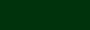 Arasilk Dupont Pintura Seda 50 ml - Racing green