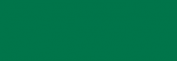 Amsterdam Spray Paint Profesional - Verde Perm. Oscuro