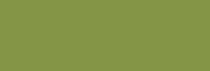 Pigmentos Dalbe serie 2 - Tierra Verde Claro